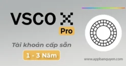Loopsie Pro Vĩnh Viễn